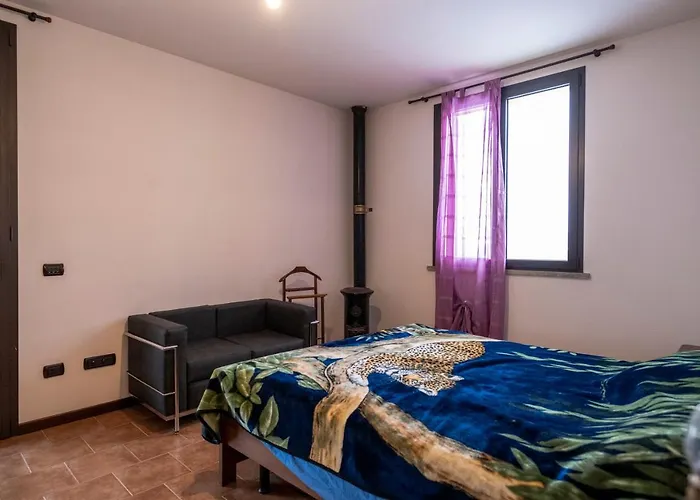 Cavalieri In Vedriano Roncovetro