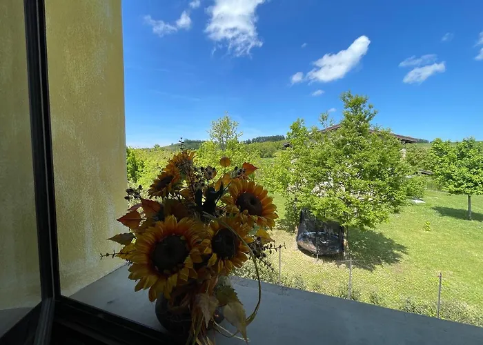 Cavalieri In Vedriano Villa Roncovetro